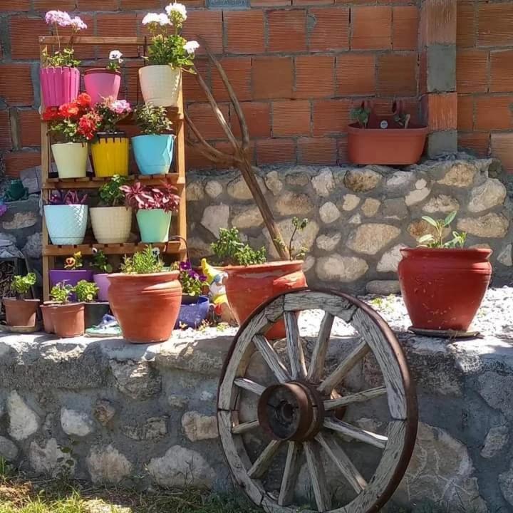 Yesil Kelebek Ev Ξενοδοχείο Kadikoy  Εξωτερικό φωτογραφία